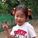 자라진천 이미지