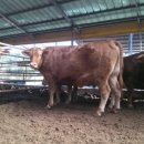 와우한우농장 이미지