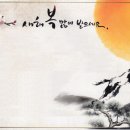 제일칼라 - 293139 | 제일칼라