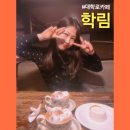 오렌지피아노 | 대학로카페 혜화카페 학림 비엔나커피 크림치즈케이크 오렌지 내돈내산 후기