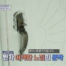 와르르맨션 Daum카페