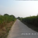 비봉자전거 이미지