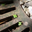 효자한의원 이미지