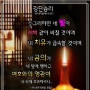 샬롬 - 순천시 | 샬롬