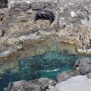 늘푸름펜션 이미지