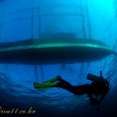 수중산책 이미지