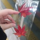 이고짐(EGO GYM) | 저 위에 널 위해 just kill my ego