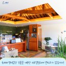신촌브루