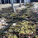 청태농장 이미지