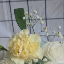 하마마베이크 이미지