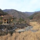 신대리야영장 이미지