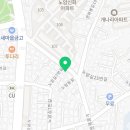 노암꽃돼지