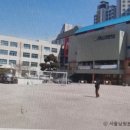 서울남정초등학교 이미지