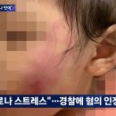 메이플어린이집 이미지