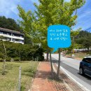 경북 울진 응봉산 등산 후기- A코스 -B코스 (2026.05.24)
