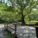 물마루 캠핑장 이미지