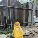 인준농장 이미지