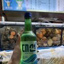 포차갈매기 이미지