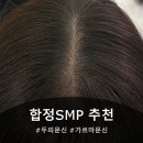 코코호도합정점 | [두피문신] 고민탈출! 합정 SMP & 홍대 SMP 후기