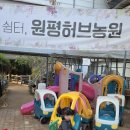 남부농원 | 화성 아기랑 실내 입장료 무료 모래놀이터가있는 원평허브농원