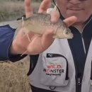 선두포낚시터 이미지