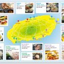 제주해풍횟집 | 제주도 동쪽 숨은 맛집 지도 – 동쪽 여행자를 위한 맛집 완벽 가이드