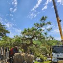 구암동387 이미지