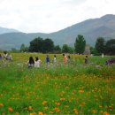 하늘터펜션 이미지