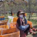 늘밭농장 이미지