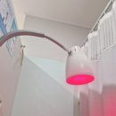 고잔최고한의원 | 허리 통증으로 방문하게된 최고한의원 물리치료 후기