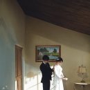모던달빛