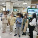 지혜의 나무 이미지