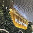 도은세일 이미지