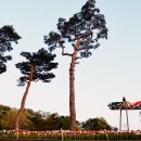 화원동산 주차장 이미지