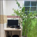 선학메디칼 이미지