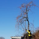 하늘유치원-2구간 | 낙남정맥 5-3구간(부련이재~오곡재,2018.12.8~9일)