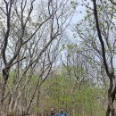 고속터미널앞 이미지