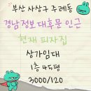 고르다공인중개사사무소 | 부산 사상구상가 주례동상가 임대 경남정보대 인근 1층 45평 음식점 미용실 피자집 치킨집 카페 다양한...