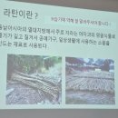 감성 마크라메&라탄공예 이미지