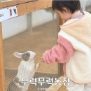 남사-26 | 용인 남사 동물 먹이체험 무럭무럭농장 재방문후기