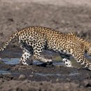 오늘은 회 이미지