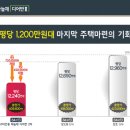 인동메이져