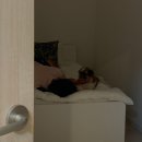 참외원협 제1 APC | 4월엔 여행다니기가 그렇게 좋다며🚗