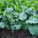 충만농장 이미지