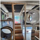 유쓰펜션 이미지