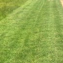 참조은태양광발전소 이미지