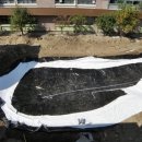 신화초등학교 이미지