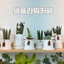 친구루인천 | [영종도 꽃집] 델플라워 카페 :: 할아버지의 생일선물 구입후기 & 화분구입 왕추천