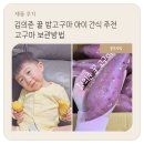 김의준 꿀 밤고구마 아이 간식 추천 고구마 보관방법