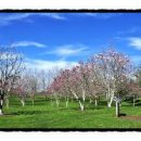 미덕정비 이미지